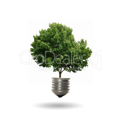 bulb with a tree