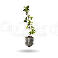 bulb with a tree