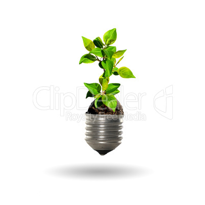 bulb with a tree