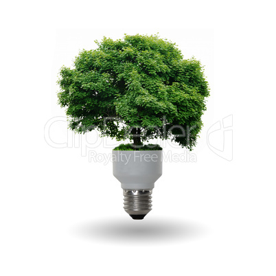 bulb with a tree