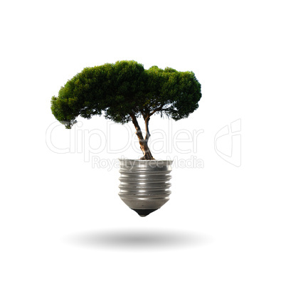 bulb with a tree