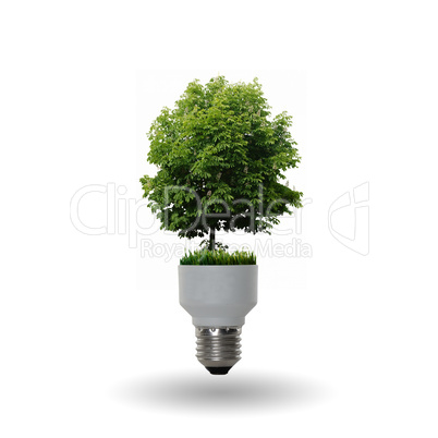 bulb with a tree