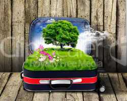 Red suitcase with green nature inside