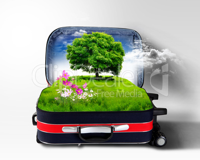 Red suitcase with green nature inside