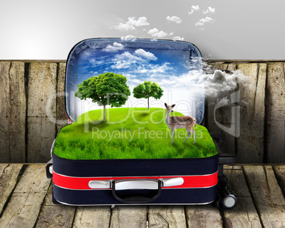 Red suitcase with green nature inside