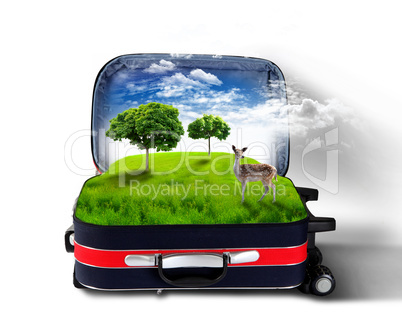 Red suitcase with green nature inside