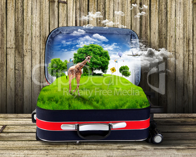 Red suitcase with green nature inside