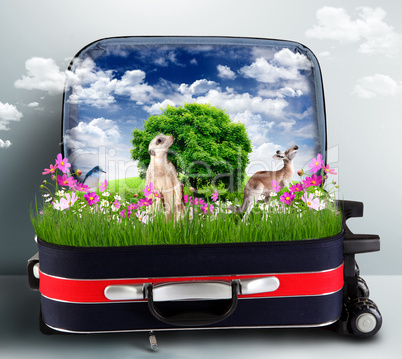 Red suitcase with green nature inside