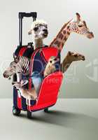 Red suitcase with different exotic animals inside