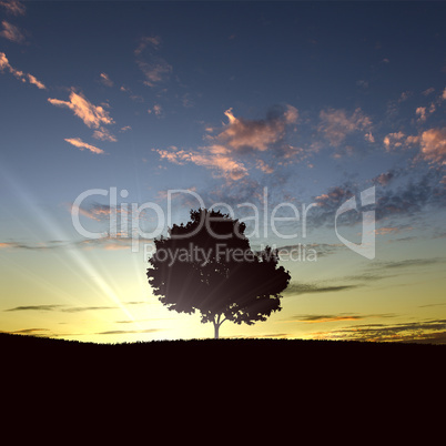 lonely tree on the horizon