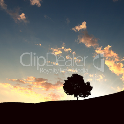 lonely tree on the horizon