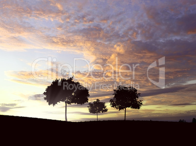 lonely tree on the horizon