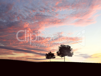 lonely tree on the horizon