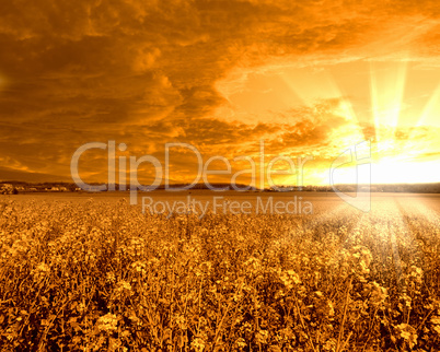 Rural landscape and shining sun