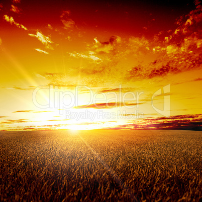 Rural landscape and shining sun