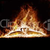 Mysterious Book open arms fire