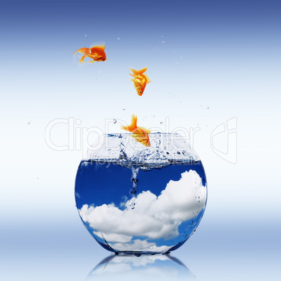 gold fish in a fishbowl