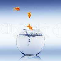 gold fish in a fishbowl