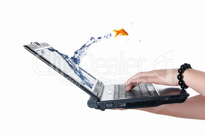 gold fish on notebook screen