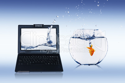 gold fish on notebook screen