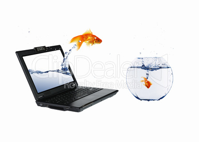 gold fish on notebook screen