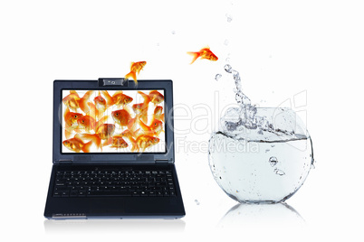 gold fish on notebook screen