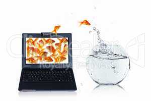 gold fish on notebook screen