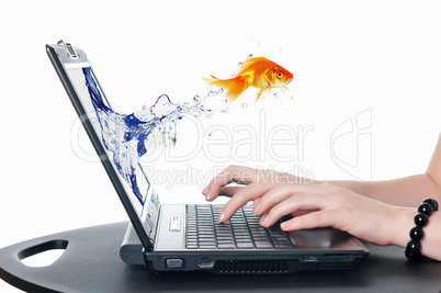 gold fish on notebook screen