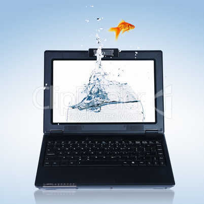 gold fish on notebook screen