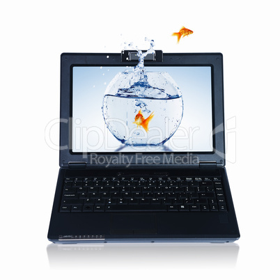 gold fish on notebook screen