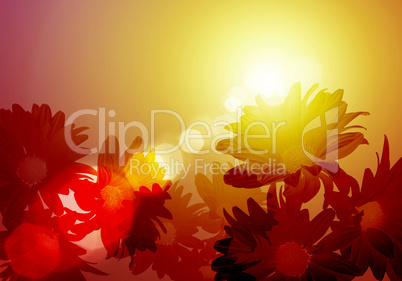 Illustration of floral colour background
