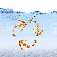 Swimming gold fish and money symbols