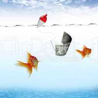 Swimming gold fish and money symbols