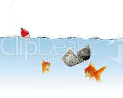 Swimming gold fish and money symbols
