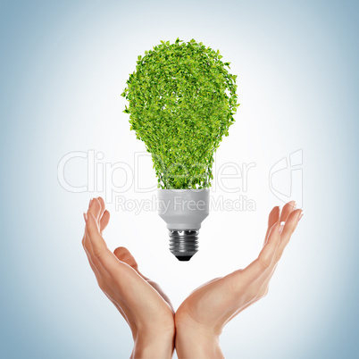 green bulb