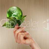 green earth with growing plant