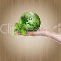 green earth with growing plant