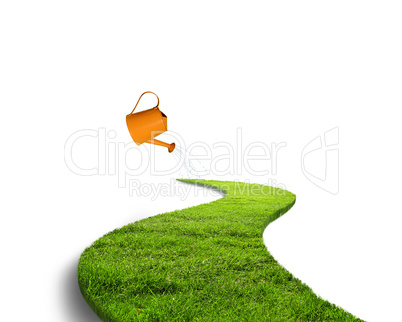 Green grass road and watering can