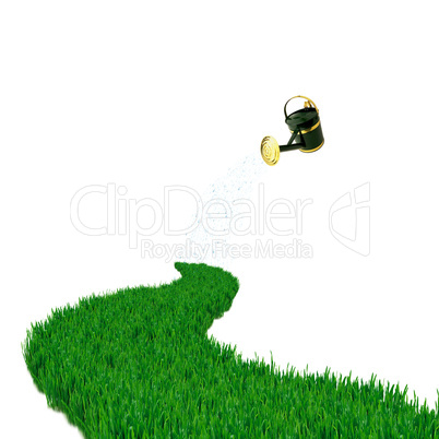 Green grass road and watering can