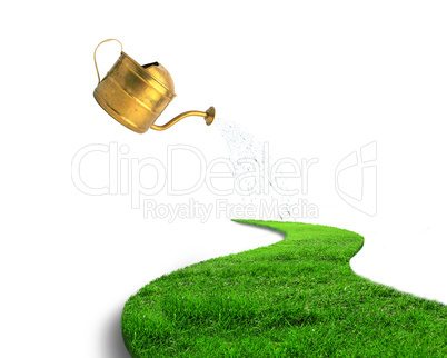 Green grass road and watering can