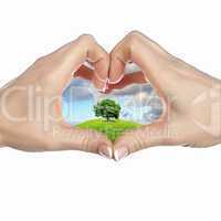 Human hands and green plant