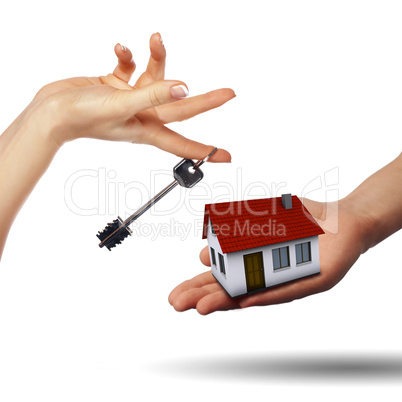 Little House on the hands