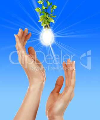 Arms and light bulbs