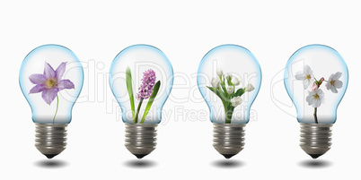 light bulb with nature