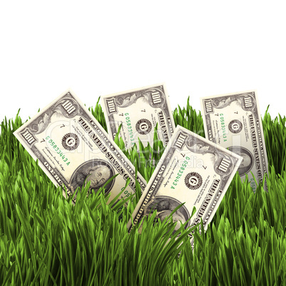 vegetation of dollar bills