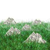 vegetation of dollar bills