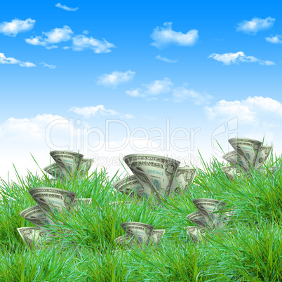 vegetation of dollar bills