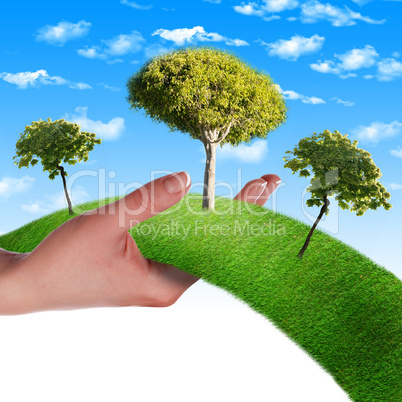 Hand, the line of grass,