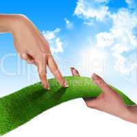 Hand, the line of grass,