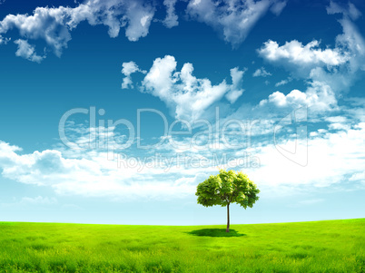 nature landscape with clouds